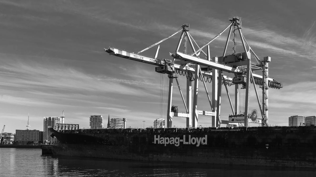 Port cranes against the sky — Expert Importation